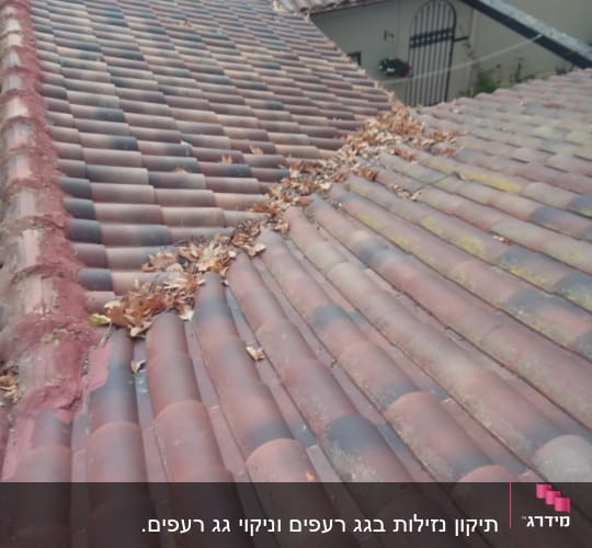 גג רעפים עם עלים יבשים בין הרעפים